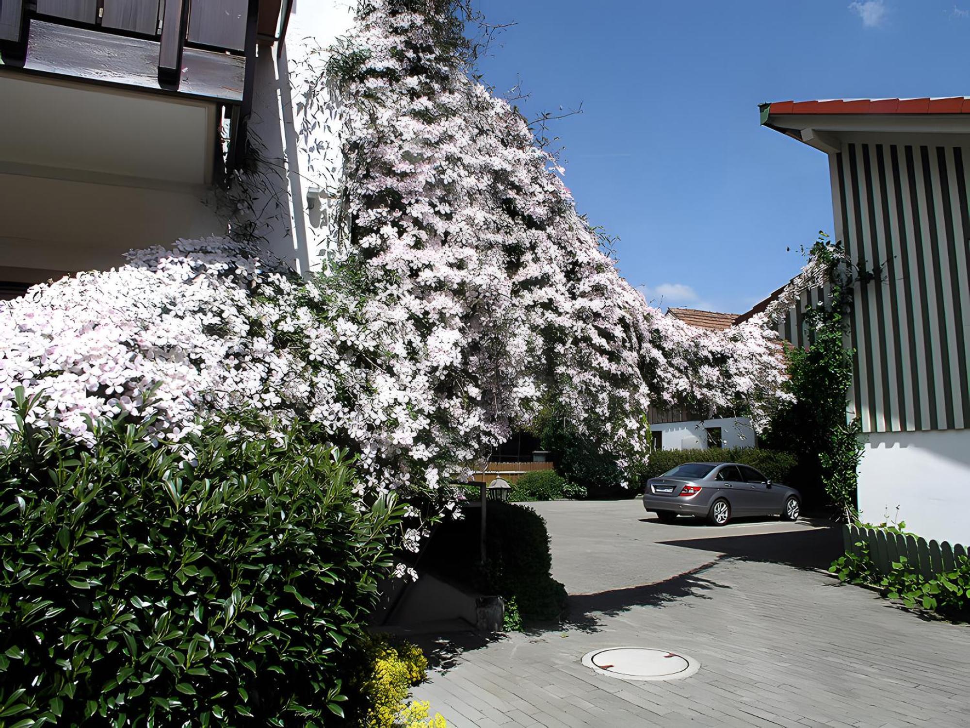 Gaestehaus Gutensohn Wasserburg Exterior foto